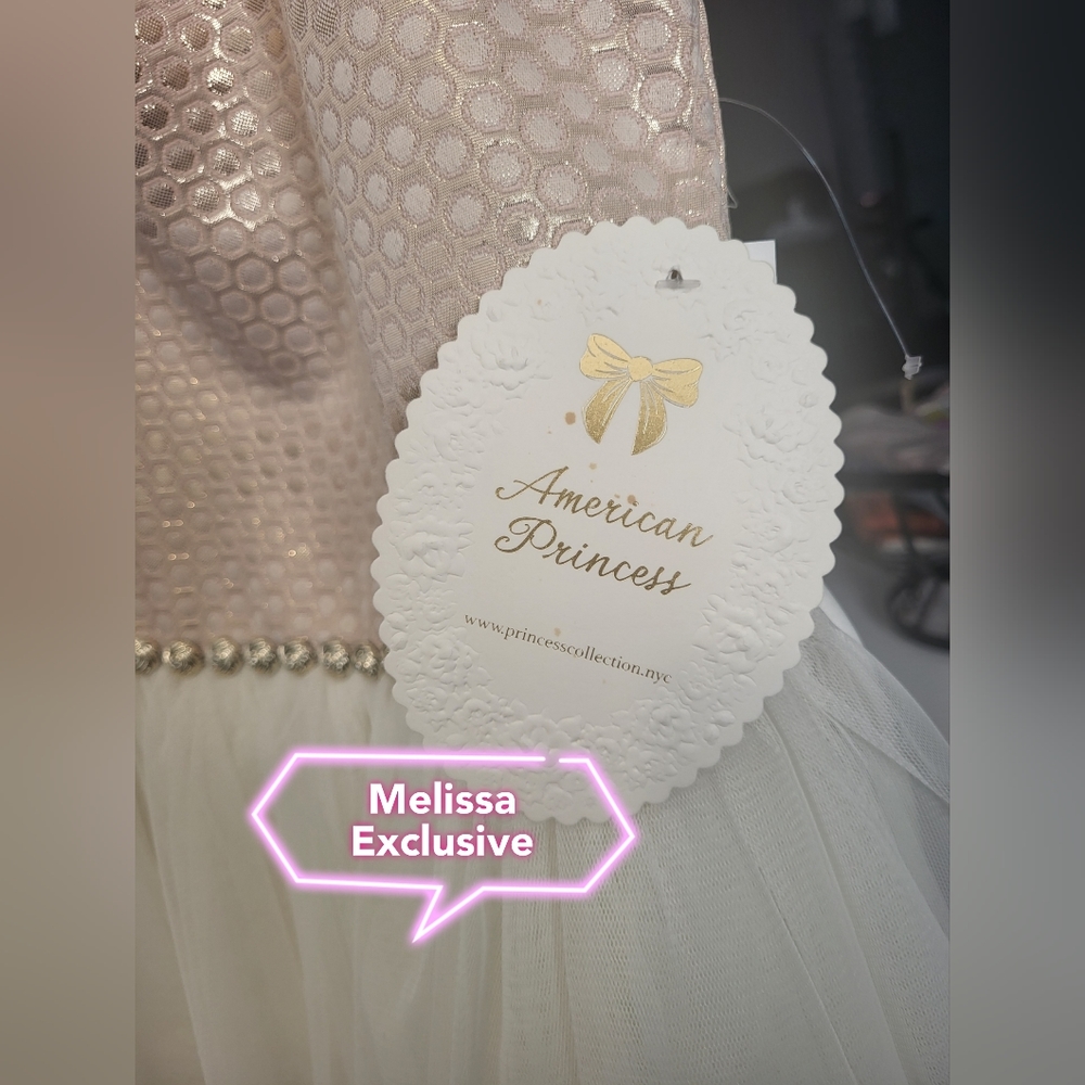 Size 12 American Princess Dress
